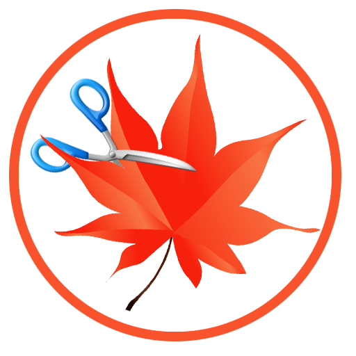 Easy Cut Studio 6 for Windows