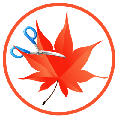 Easy Cut Studio 6 for Windows